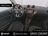Smart EQ Cabrio Exclusive 22KW Lader Winter LED - Smart ForTwo: La