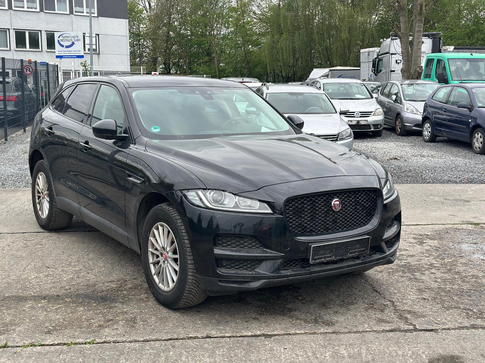 Jaguar F-Pace- Pure-Xenon-Navi-Kamera-
