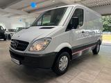 Mercedes-Benz Sprinter 313 CDI Kastenwagen *Garantie* - Mercedes-Benz Sprinter: Kasten