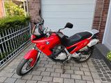 BMW F650 rot - BMW F 650 R