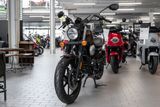 UM Renegade Sport 125, sofort lieferbar - Offers matching your search criteria