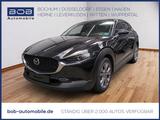 Mazda CX-30 2.5 Aut. Takumi 360° LEDER BOSE MATRIX NAV - Mazda CX-30 Takumi mit Benzin-Antrieb