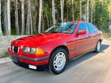 BMW e36 316i 78.000km INDIVIDUAL ZIEGELROT... - BMW 316: E36