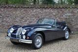 Jaguar XK XK140 Drophead Coupe SE "Bare metal - Body of - Jaguar XK Oldtimer
