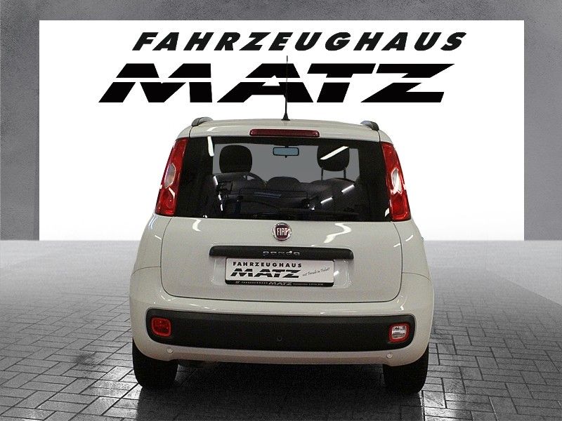Fahrzeugabbildung Fiat Panda  Lounge 1.2