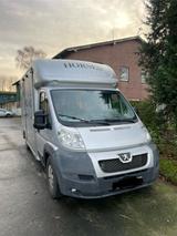 Peugeot Boxer Pferdetransporter - gebrauchte Peugeot Boxer aus dem Jahr 2011