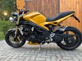 Triumph Speed Triple  1050 - TRIUMPH 2005 SPEED TRIPLE 1050