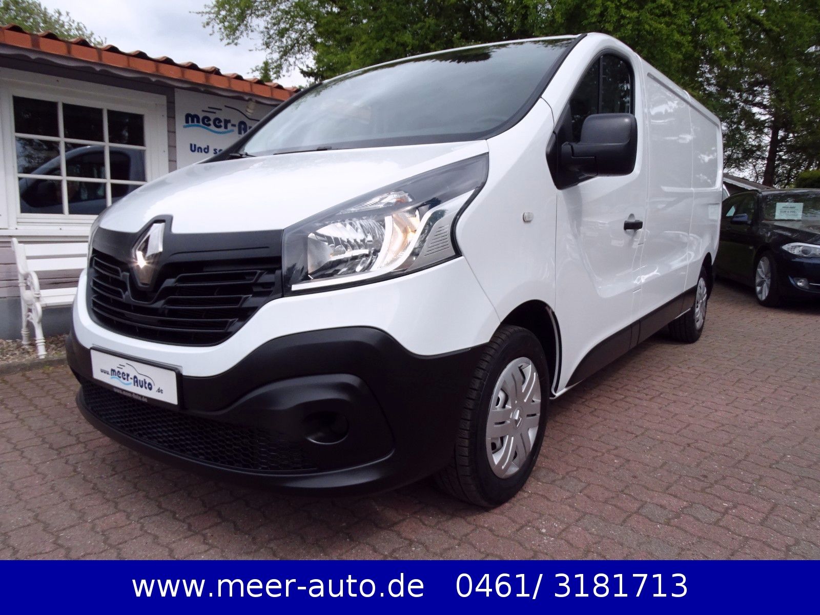 Renault Trafic - 1