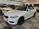 BMW 218i Cabrio Leder-Bi-Xen,2.Hd,Tüv 2028 - BMW 218 Gebrauchtwagen