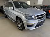 Mercedes-Benz GL 63 AMG 4MATIC - silberne Mercedes-Benz GL-Klasse