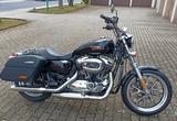 Harley-Davidson XL 1200 T Superlow Sportster - Angebote