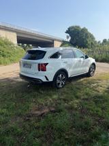 Kia Sorento 1.6 T-GDI Plug-in Hybrid AWD Platinu... - Kia Sorento in Ludwigshafen