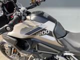 Triumph Tiger 1200 Rally Pro mit Koffern - Triumph Tiger 1200 Rally Pro