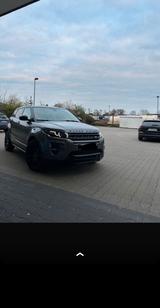 Andere range rover evoque - Andere aus 2015