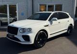 Bentley Bentayga 4.0 V8 auto iva deducibile ulti - weiße Bentley Bentayga