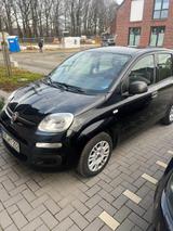 Fiat New Panda 1.2 8V EASY EASY - Fiat New Panda von privat