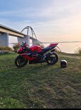 Suzuki GSX-R 1000 K5/6 - Offers matching your search criteria
