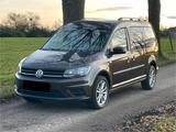 Volkswagen VW Caddy Maxi 2.0 TDI  Behinderten gerecht - Volkswagen Caddy Maxi in Aachen