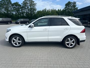 Mercedes GLE 250 - 2