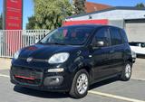 Fiat Panda More / 1. Hand / Allwetter / PDC - Fiat Panda: More