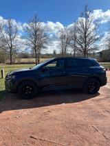 DS Automobiles DS7 Crossback BlueHDi 130 Performance Line  - DS Automobiles mit Diesel-Antrieb: Alcantara