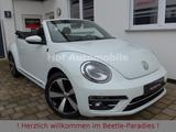Volkswagen Beetle 1.2TSI Sound Plus Standheizung Kamera - VW Beetle Gebrauchtwagen in Frankfurt