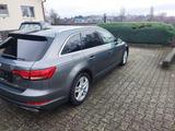 Audi A4 2.0 TDI 140kW S tronic quatttro Ava - Standhz - Audi A4: TDI 140