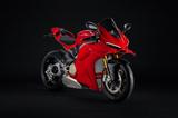 Ducati Panigale V4 S 2025 *sofort verfügbar* - DUCATI PANIGALE