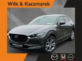 Mazda CX-30 2.5 AT Centre-Line Matrix Navi Cam HUD ACA - Mazda CX-30 Centre-line mit Benzin-Antrieb
