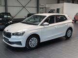 Skoda Fabia 1.0 MPI Active 8-fach 1.Hand - Skoda Fabia Gebrauchtwagen in Mannheim