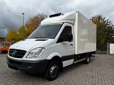 Mercedes-Benz Sprinter 516  Kühlkoffer BÄR LBW Viento Kühlung - Ladebordwand Bär
