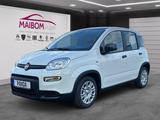 Fiat Panda Pandina 1.0 GSE
