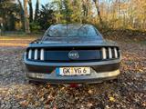 Ford Mustang 5.0 Ti-VCT V8 GT Auto GT - Ford Mustang Gebrauchtwagen in Mülheim (Ruhr)