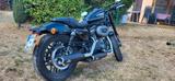 Harley-Davidson Roadster Sportster XL 1200 - Harley-Davidson Sportster XL 1200 R Roadster