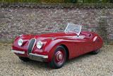Jaguar XK XK120 Alloy Roadster "One of 242 Alloy built" - rote Jaguar XK
