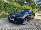 BMW 228i  xdrive Cabrio - BMW 228