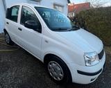 Fiat Panda City - Fiat Panda in Kiel