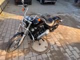 Harley-Davidson SOFTAIL STANDARD - HARLEY-DAVIDSON SOFTAIL STANDARD