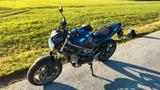 Suzuki SV 650 inkl. Werksgarantie (> 2 J. Restgarantie) - SUZUKI 650 R