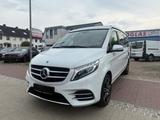 Mercedes-Benz Marco Polo 250 d EDITION 4MATIC/AMG-Line - Mercedes-Benz 220: Automatik