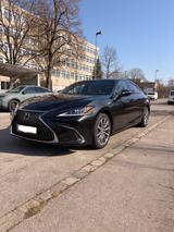 Lexus ES 250 Business - gebrauchte Lexus Limousine