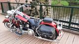 Harley-Davidson HERITAGE SOFTAIL CLASSIC Evo FLSTC scheckheft - HARLEY-DAVIDSON 1998 SOFTAIL