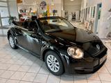 Volkswagen Beetle Cabriolet LMR elektr. Dach - : Cabrio, Dach