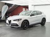 Alfa Romeo Stelvio 2.2 D Competizione Q4 ALLRAD LEDER LED - silberne Alfa Romeo Stelvio