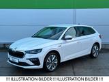 Skoda 116PS DSG First Edition ACC KAMERA eHK LM17" - Skoda Jahreswagen