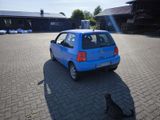 Volkswagen Lupo 1.0 Oxford Oxford AHK - Volkswagen Lupo: Oxford