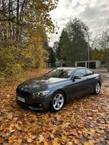 BMW 430i Coupé  - BMW 430 in Dresden