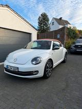 Volkswagen Beetle 1.4 TSI DSG BMT Karmann Cabriolet Karmann - Volkswagen Beetle: Cabrio