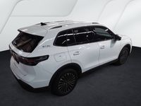 Volkswagen Tiguan - Vorschau Bild 2