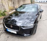 Jaguar XE P300 R-DYNAMIC HSE AWD 